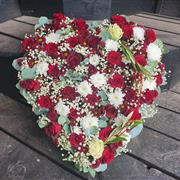 Red and White Heart