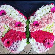 Butterfly Tribute